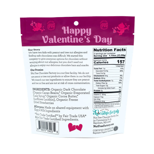 Organic Dark Chocolate Covered Freeze Dried Strawberries - Vday